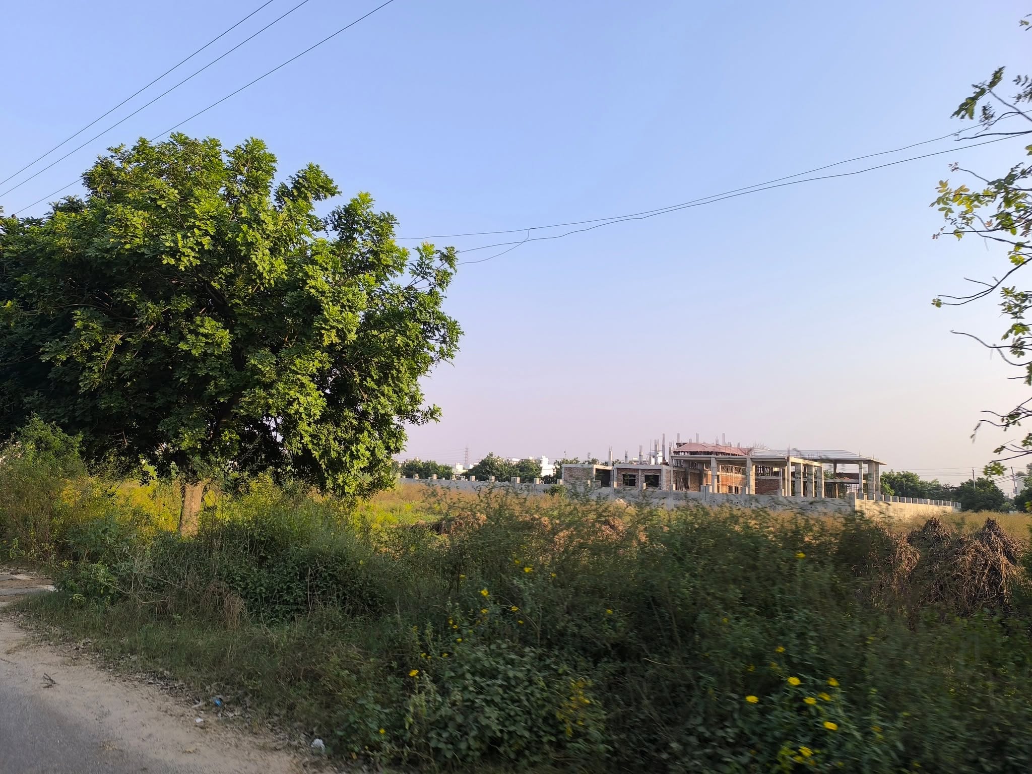 Huda Plot in Sec 1 Pataudi for Sale - Properties in Sector 1 Pataudi - 8