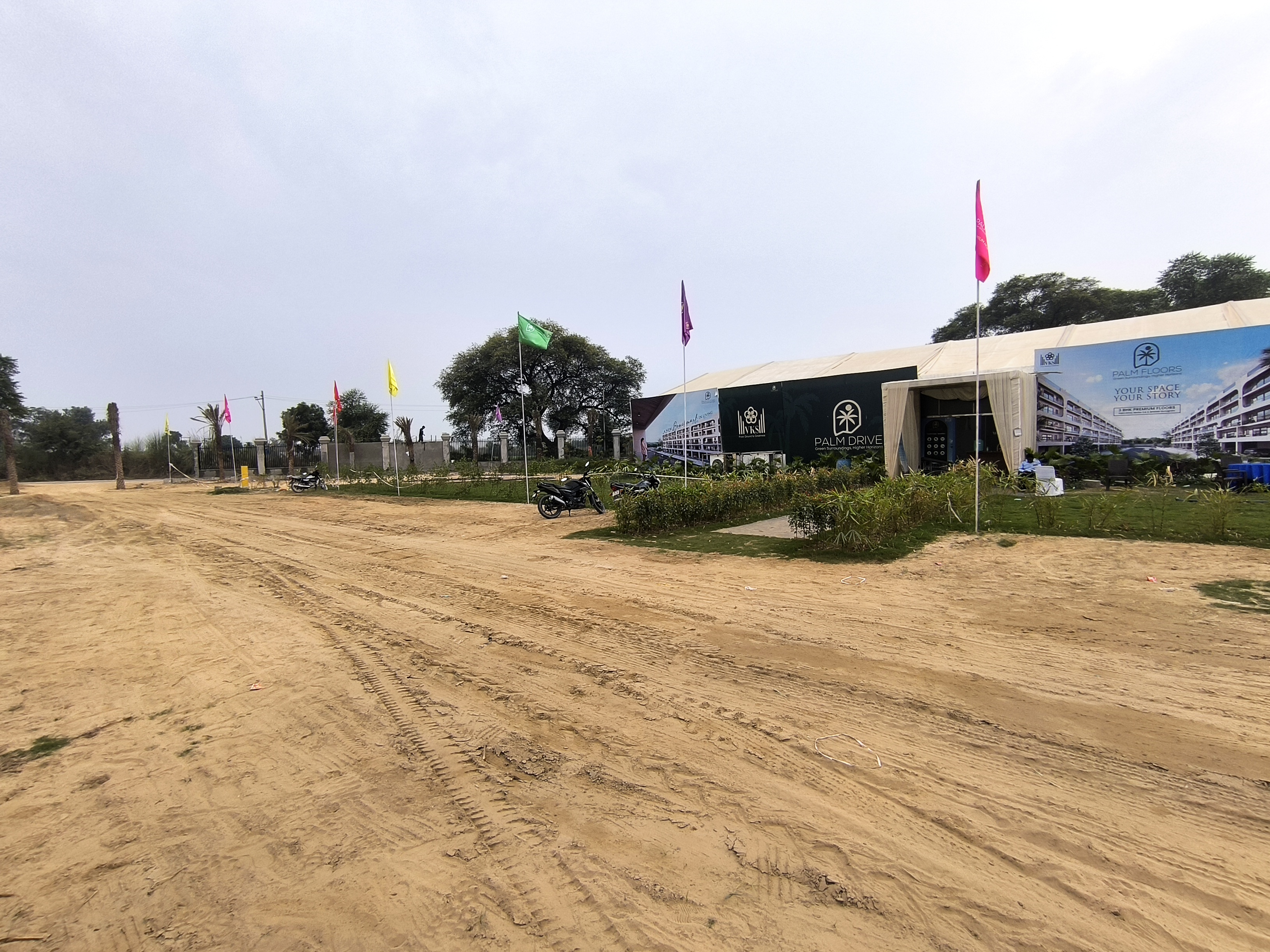 Palm Drive 2 - 3