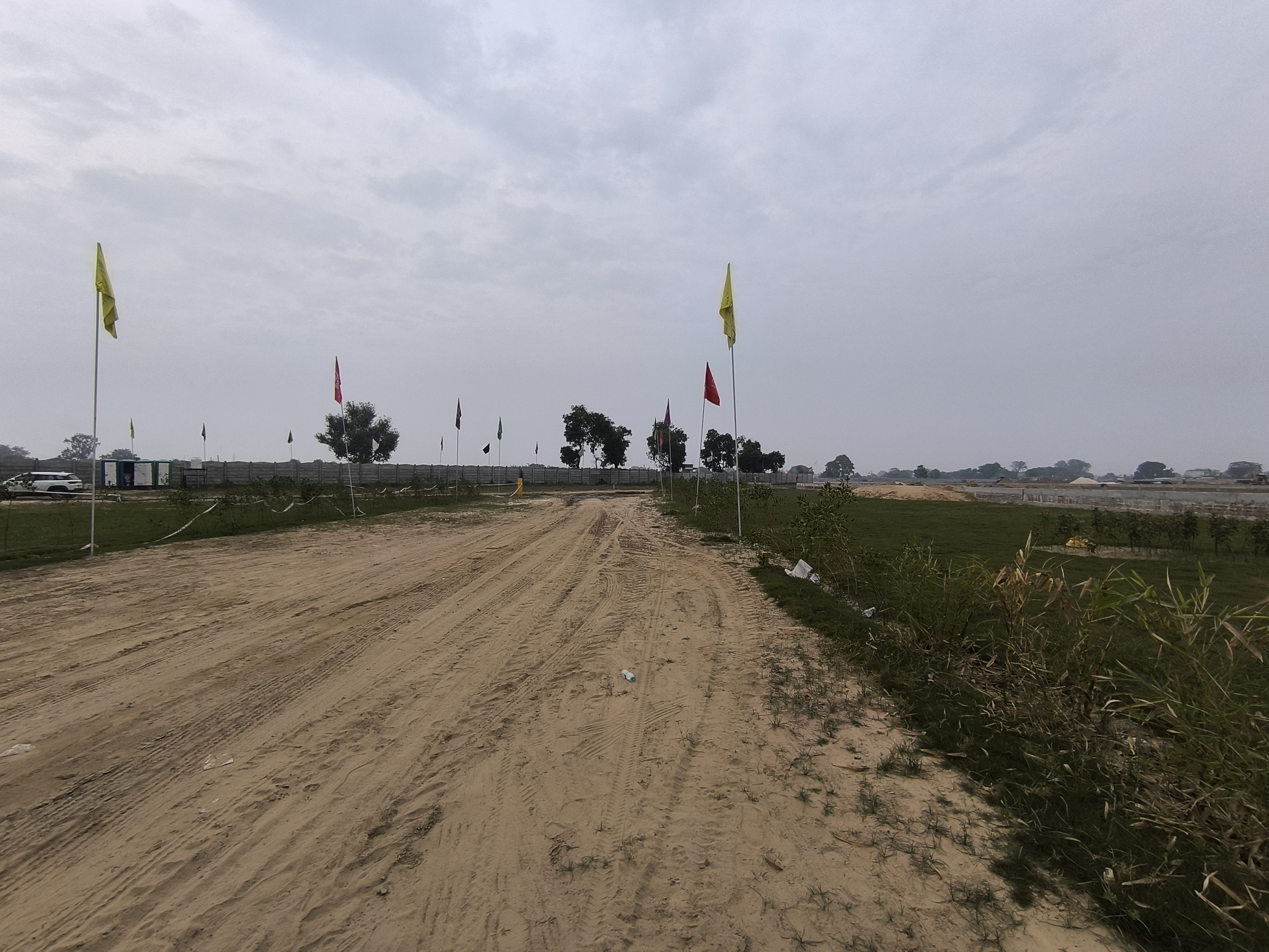 Palm Drive 2 - 8