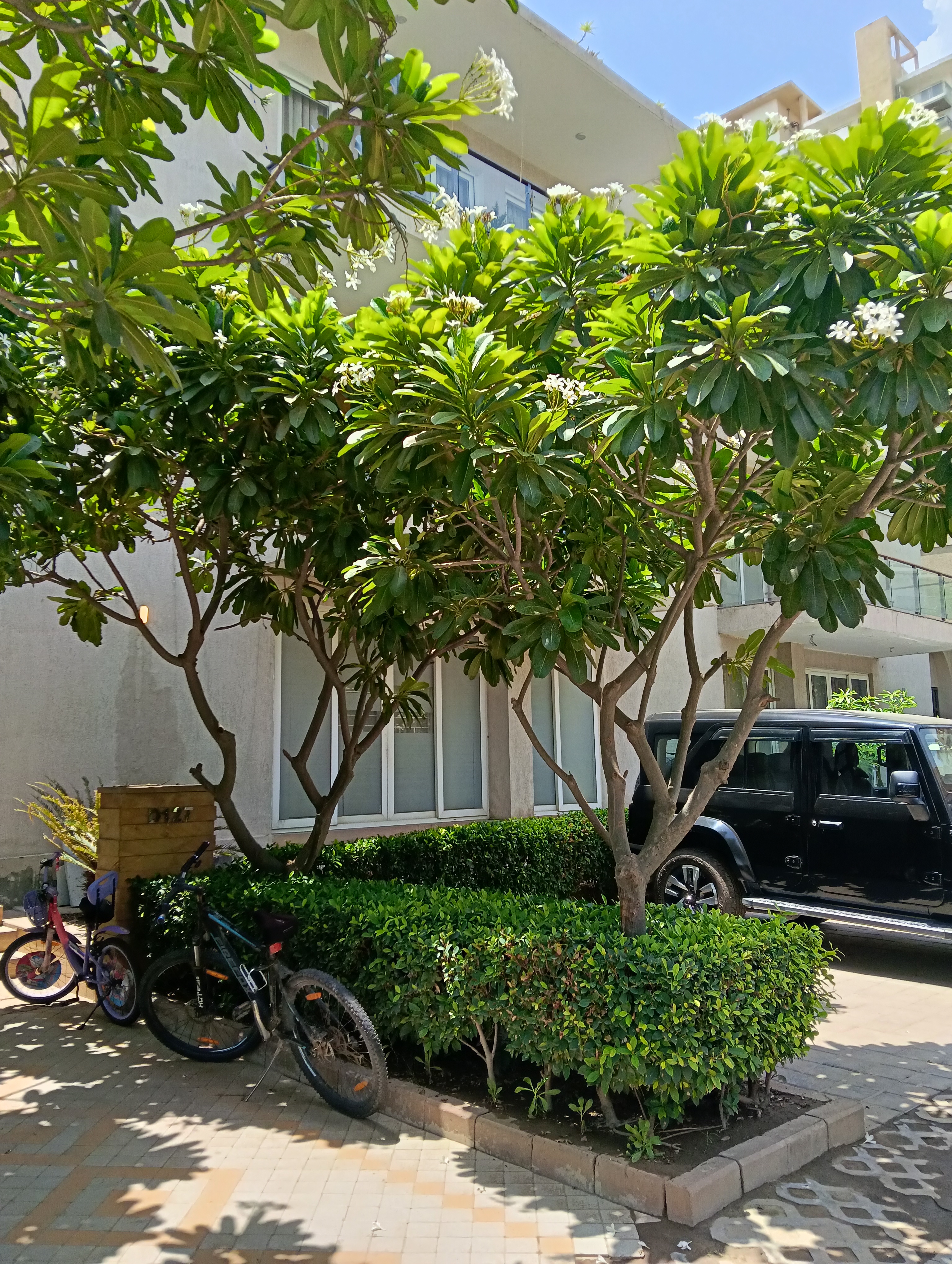 Bptp Amstoria sec 102 Gurugram for Rent
