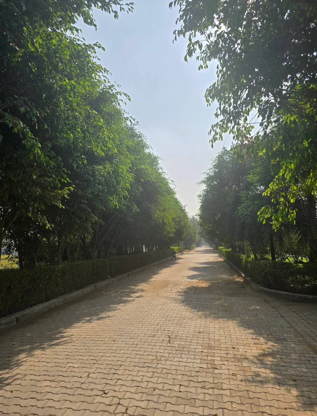Satya merano green sec 99A Sale - Properties in Gurugram - 3