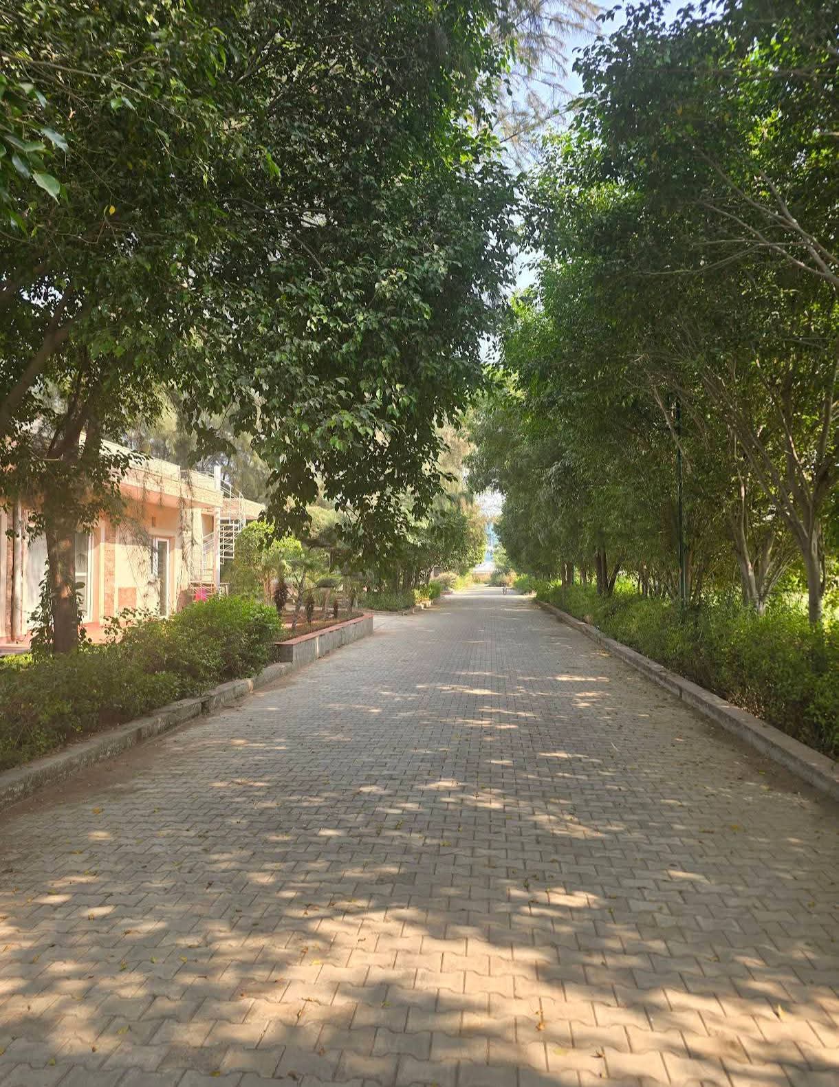Satya merano green sec 99A Sale - Properties in Gurugram - 4