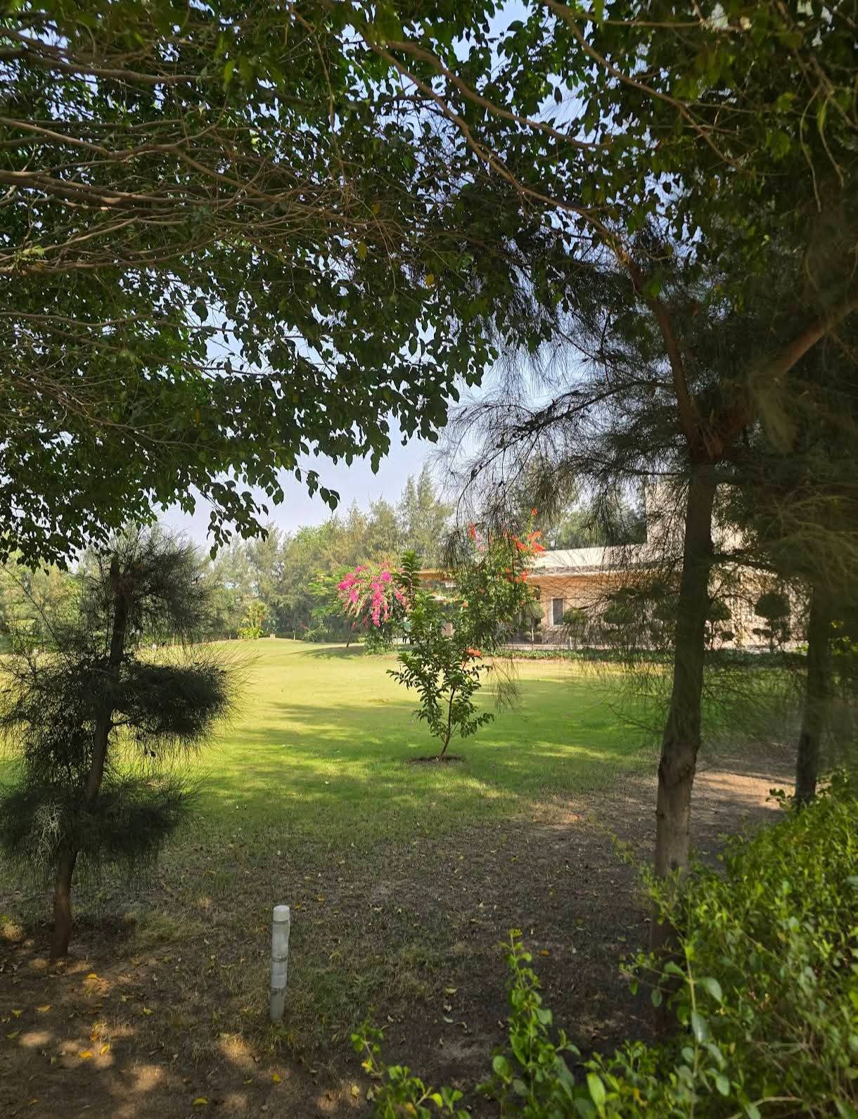 Satya merano green sec 99A Sale - Properties in Gurugram - 5