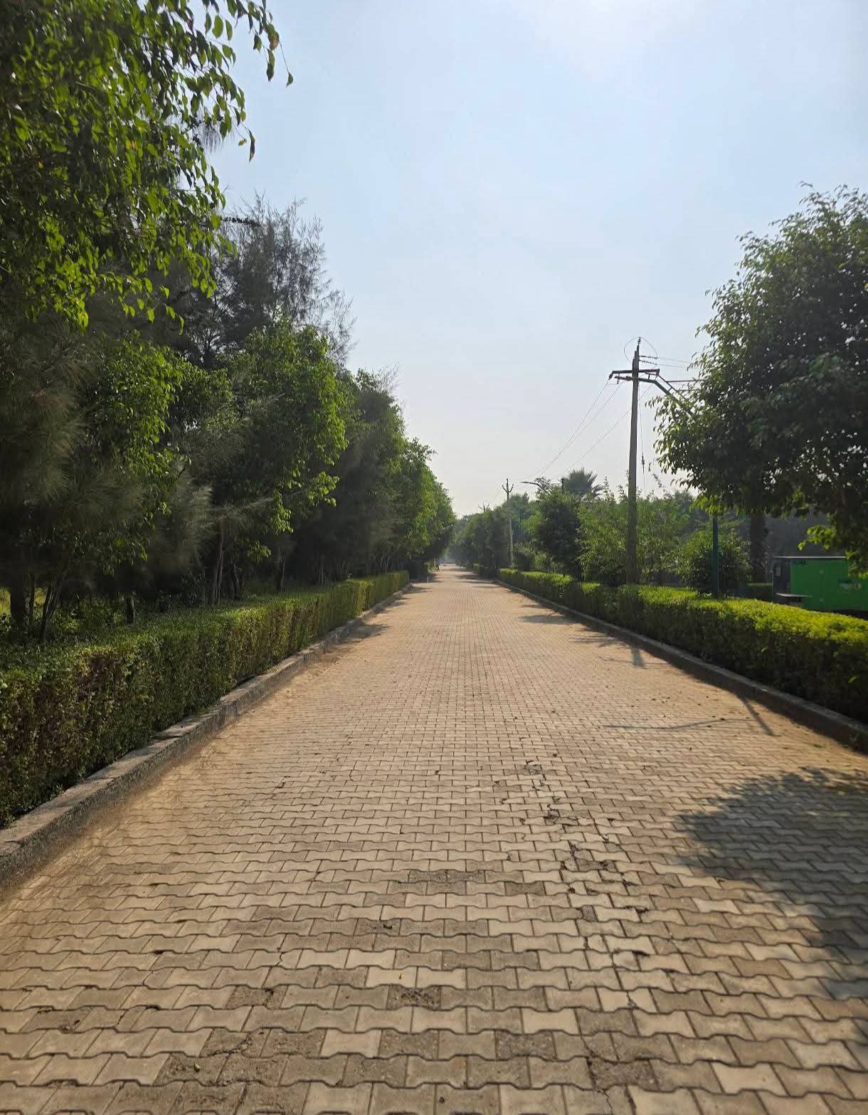 Satya merano green sec 99A Sale - Properties in Gurugram - 7
