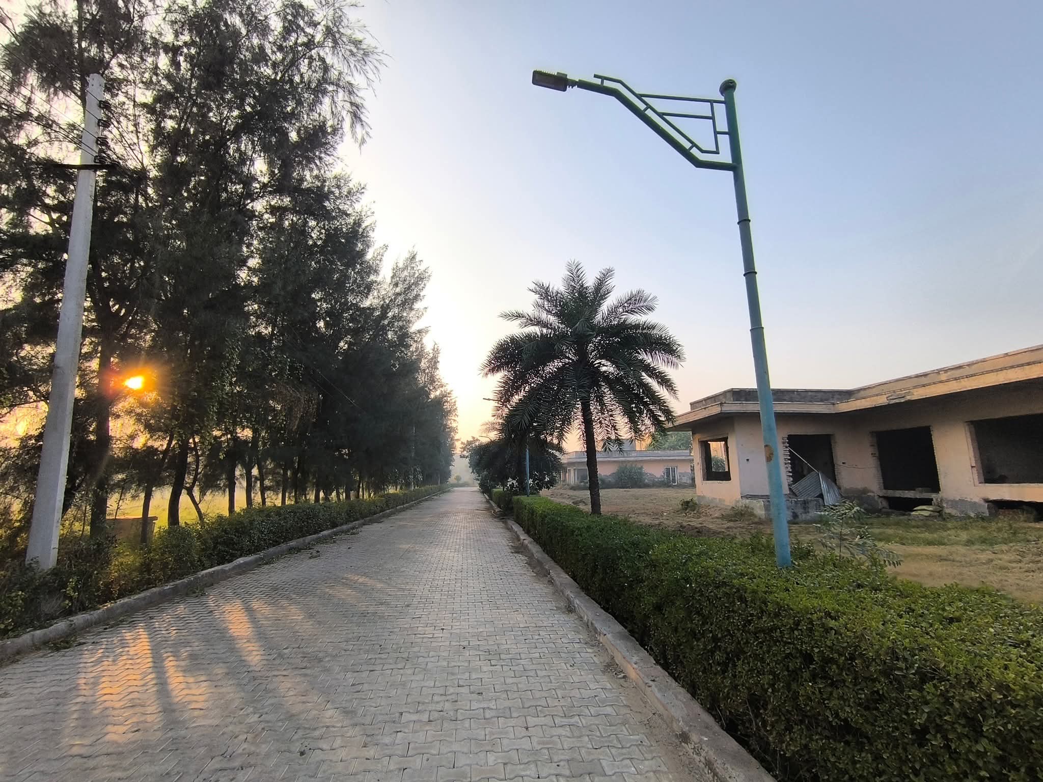 Satya merano green sec 99A Sale - Properties in Gurugram - 8