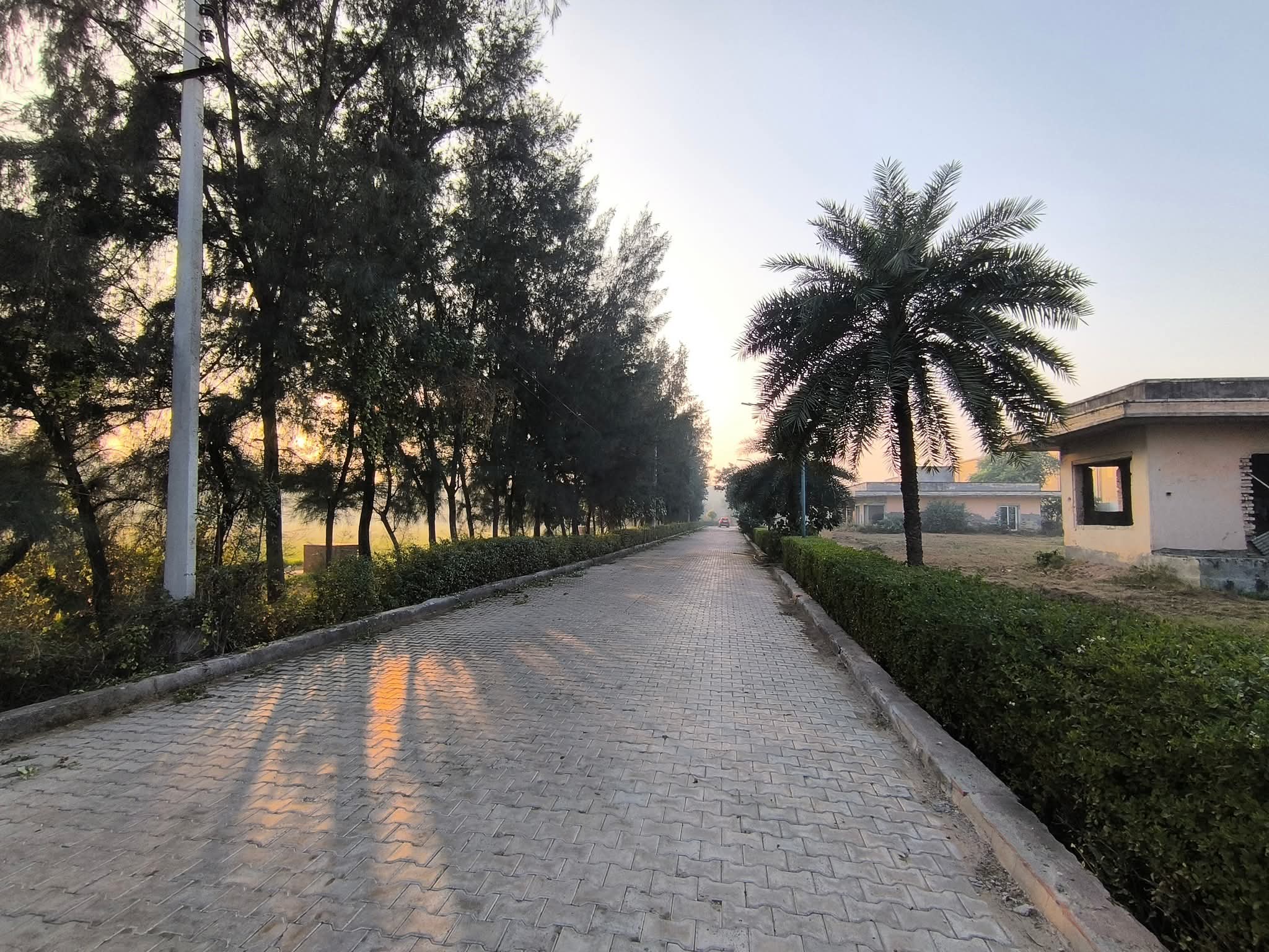 Satya merano green sec 99A Sale - Properties in Gurugram - 9