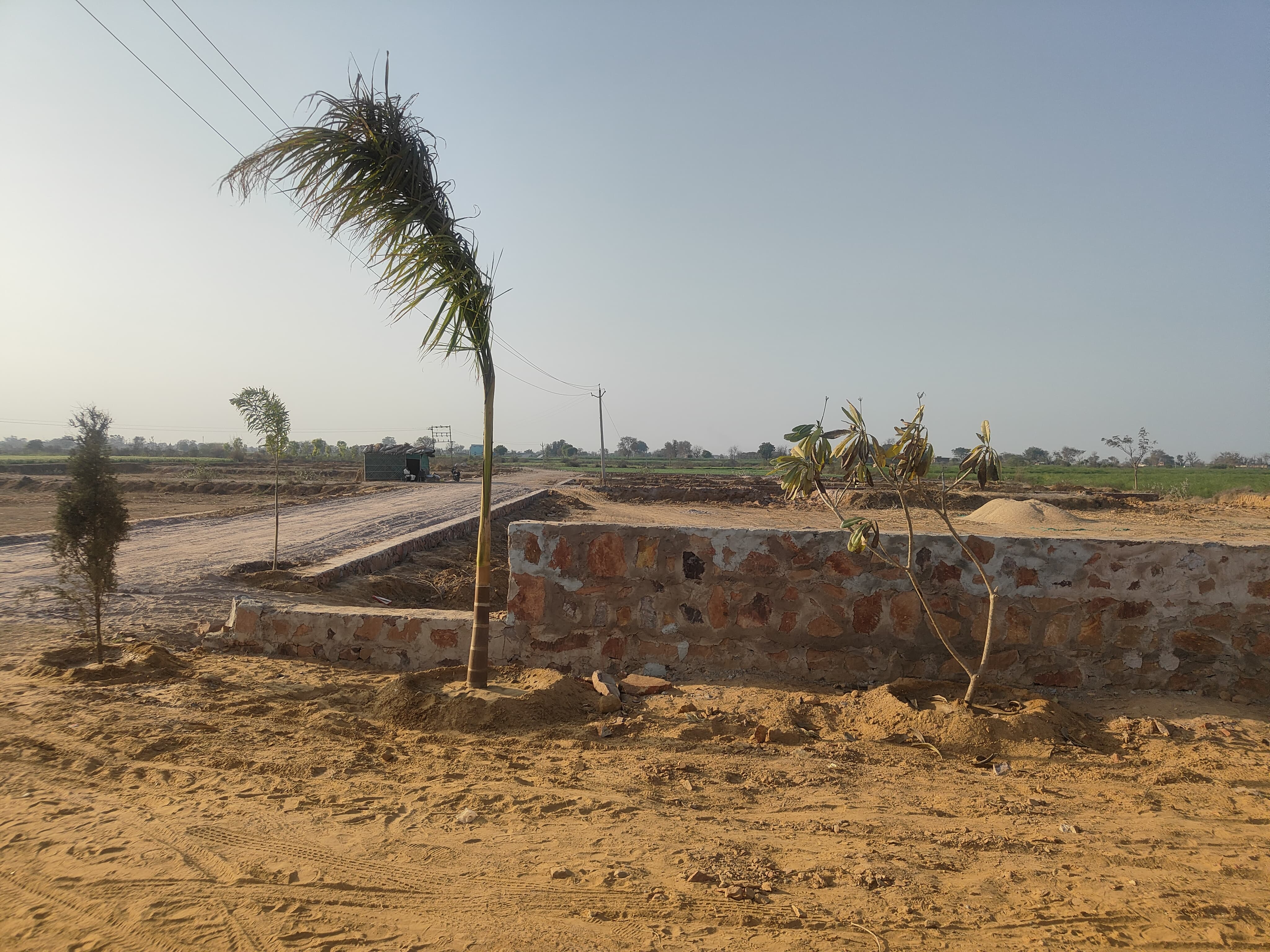 Mahchana Road 50sqyrd to 100sqyrd Plot in Pataudi for Sale - Properties in Haily Mandi Pataudi - 6