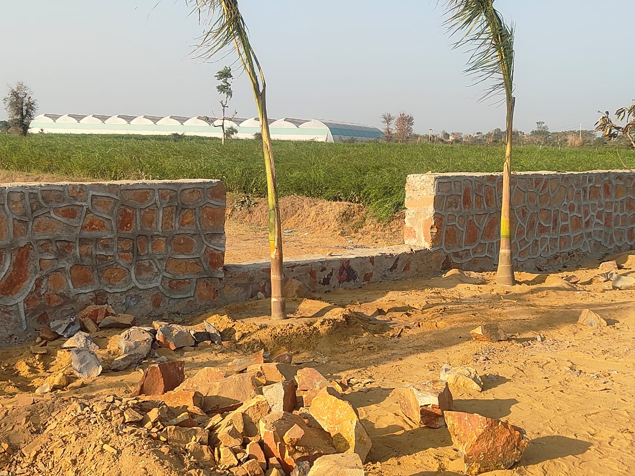Mahchana Road 50sqyrd to 100sqyrd Plot in Pataudi for Sale - Properties in Haily Mandi Pataudi - 8