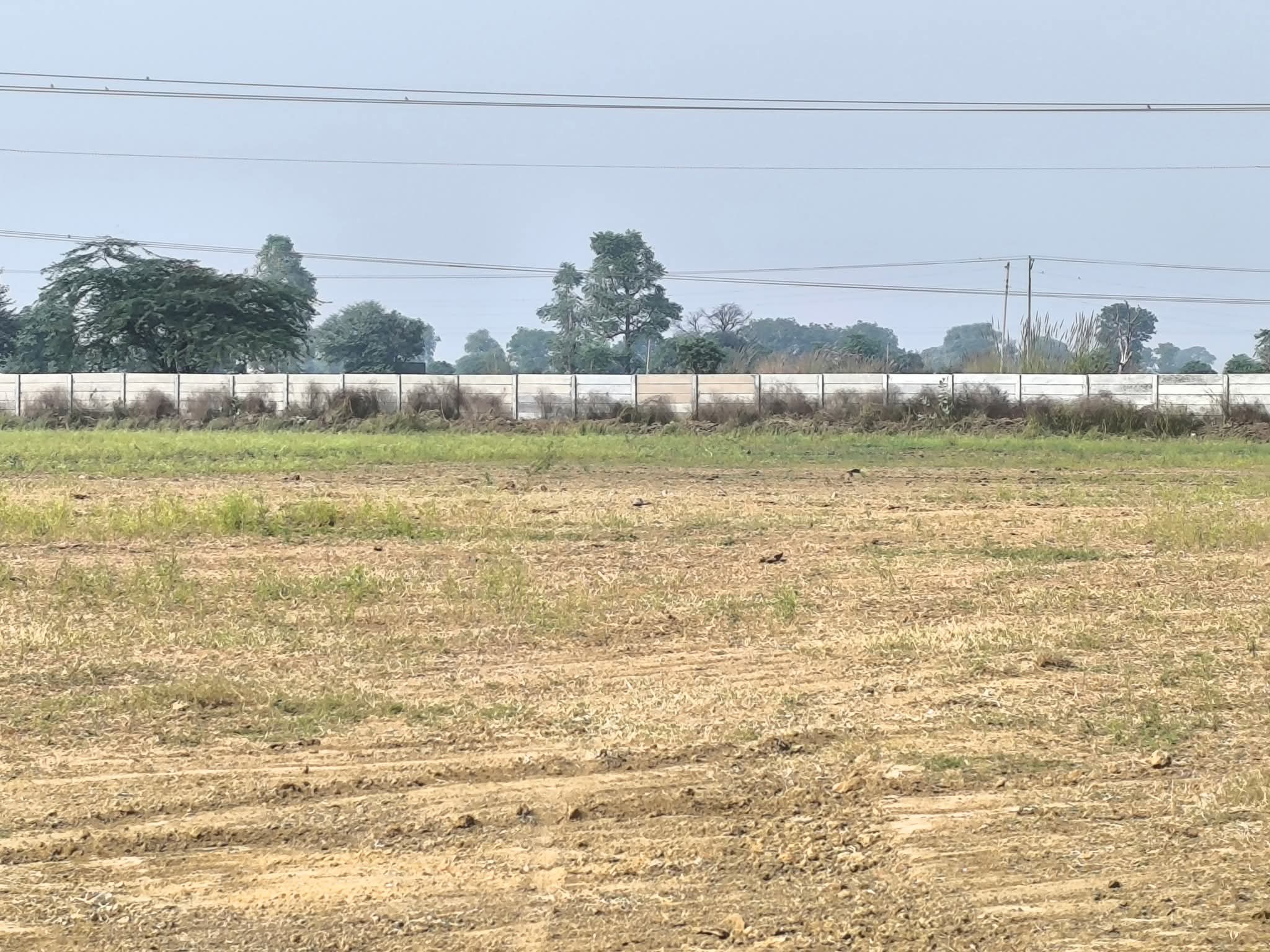 Plot in Pataudi for Sale - Properties in  Pataudi