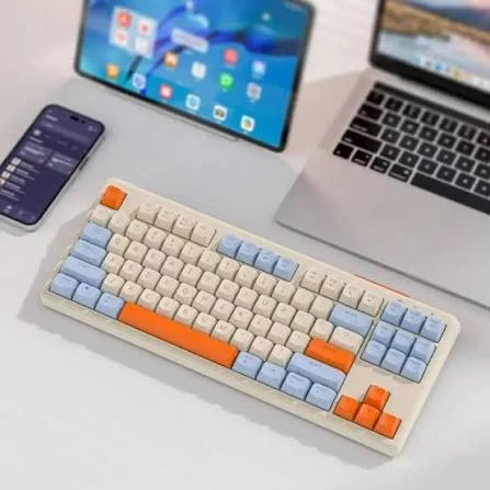 Wireless Mechanical Keyboard RGB