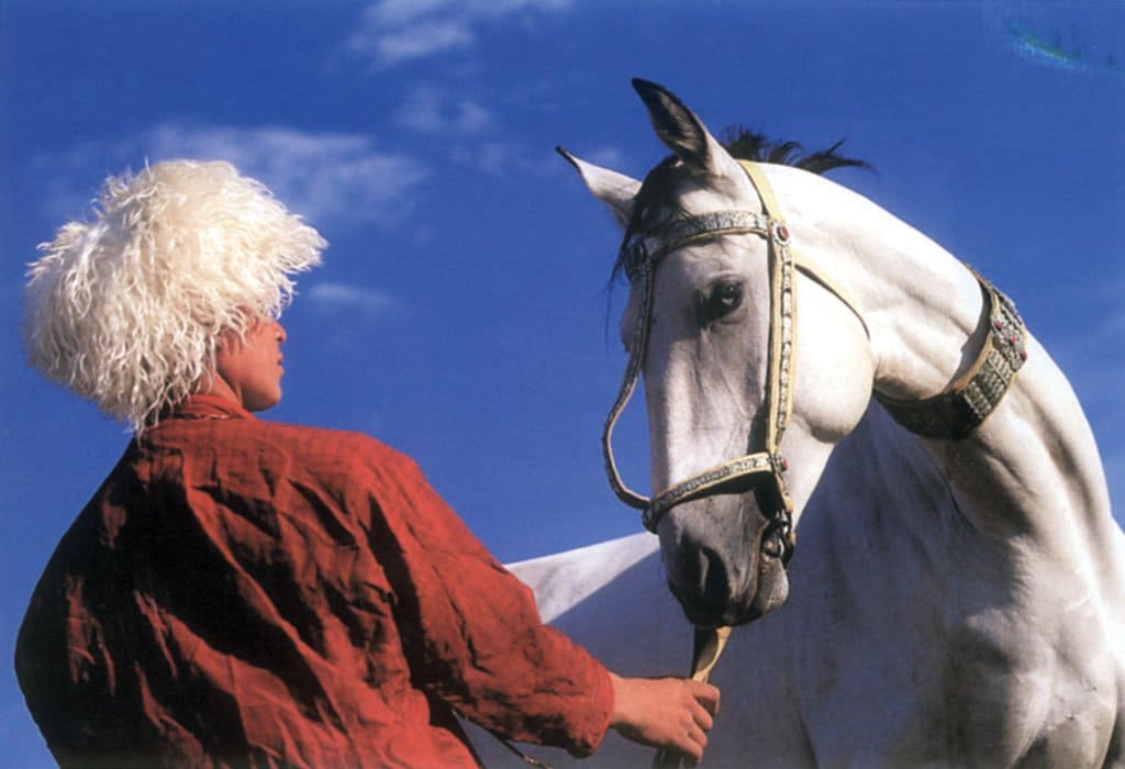 A Turkmen horseman in a white telpek hat beside a grey Akhal-Teke wearing a decorated bridle