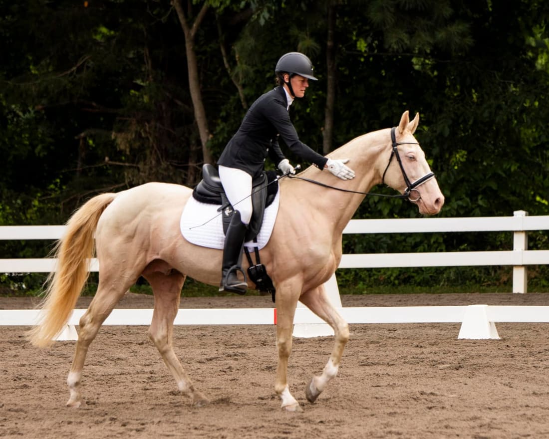 A cremello Akhal-Teke and rider in the dressage ring, the rider patting the horse's neck