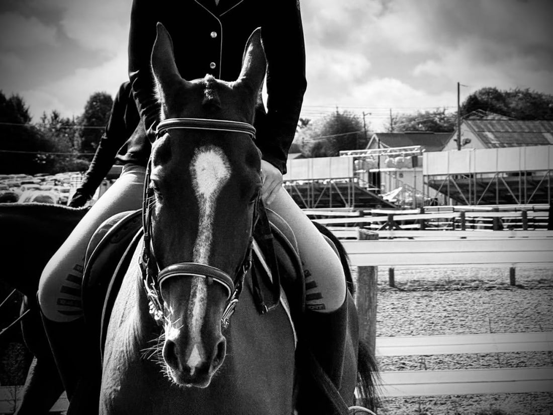 Horse and rider seen head-on at a show ring, in black and white