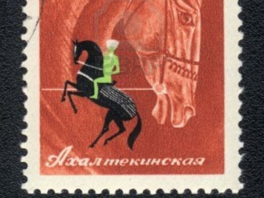 Russian postage stamp featuring an Akhal-Teke horse