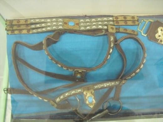 Akhal-Teke inspired jewelry