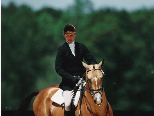 Akhal-Teke horse in North America