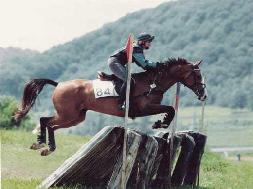 Akhal-Teke horse in North America