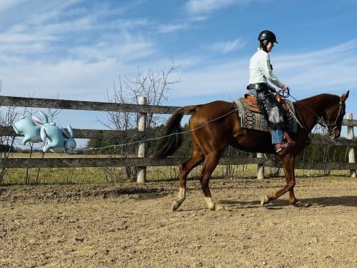 ATAA Virtual Show Series competitor