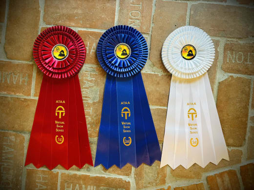 ATAA Virtual Show Series competitor