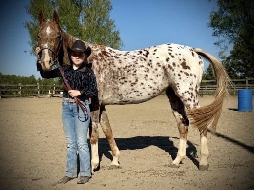 ATAA Virtual Show Series competitor
