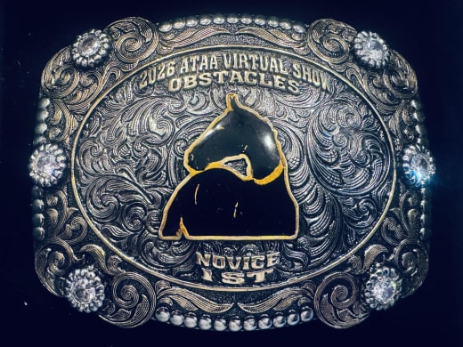 ATAA Virtual Show Series competitor