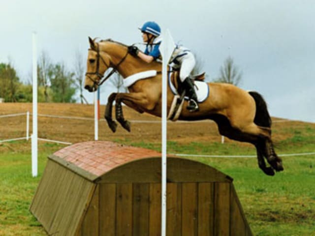 Buckskin