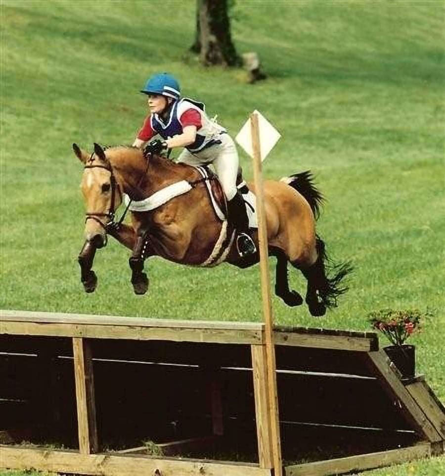 Kandar jumping a cross-country fence
