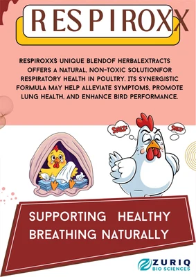 RESPIROXX