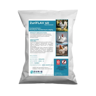 ZuriFLAV 40