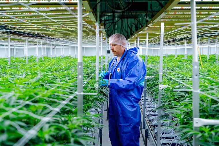 how-we-grow