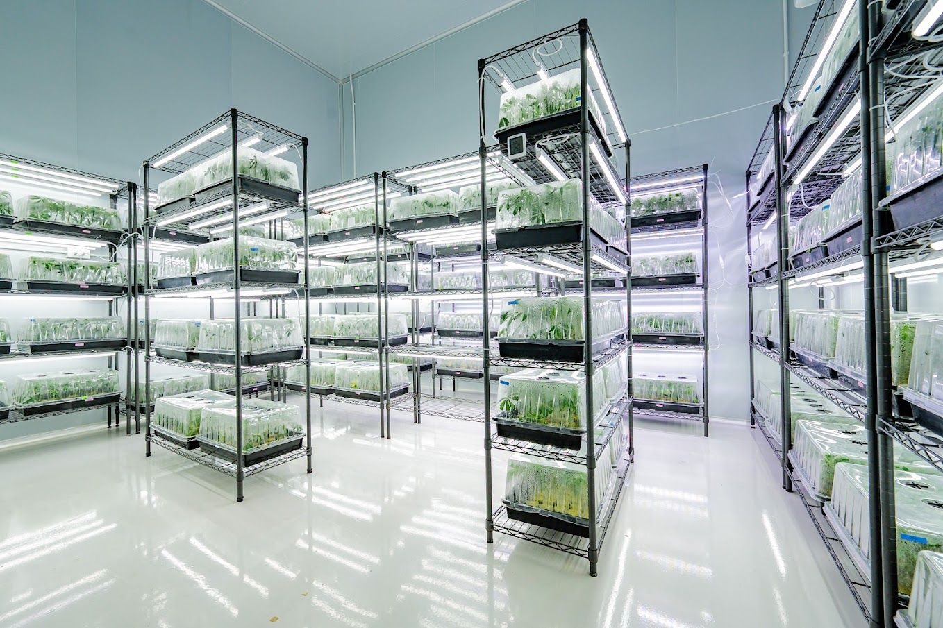Propagation003.jpg