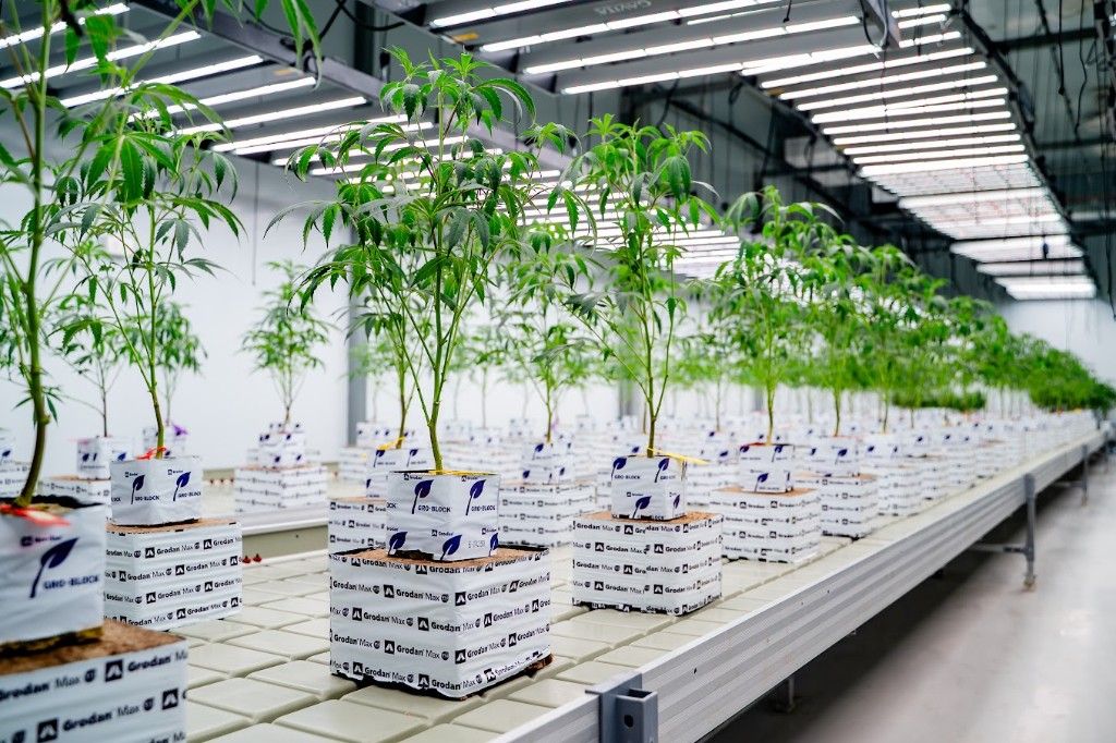 Propagation004.jpg