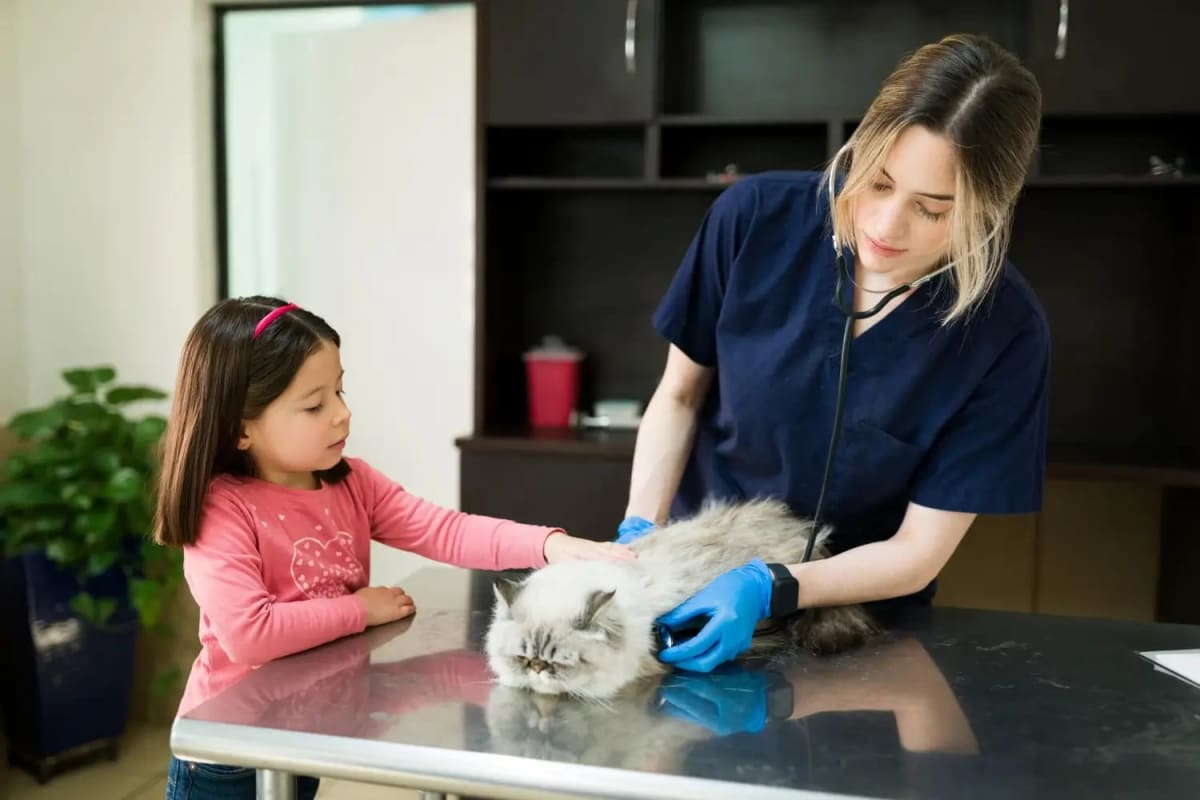Cat Vaccination Schedule by Age: A Simple, Vet-Approved Guide