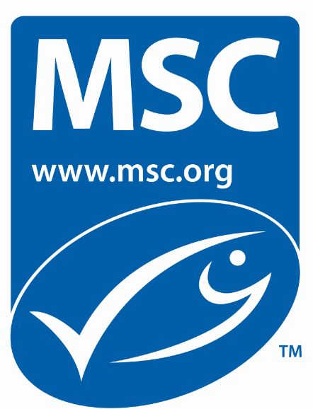 MSC