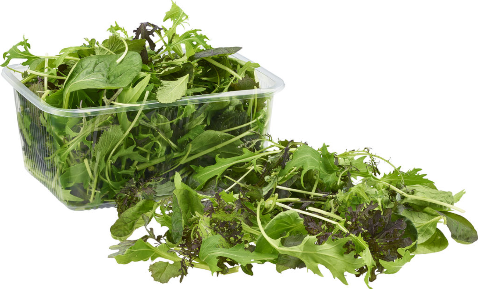 Salat Mix (Feldsalat, Radicchio, Rucola) gepackt 125g Packung