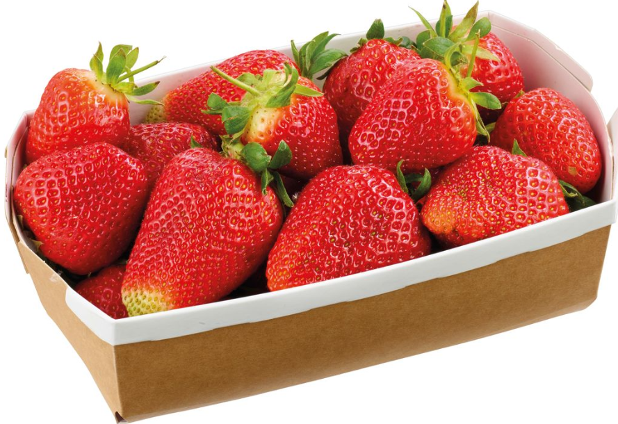 Erdbeeren 500g Schale