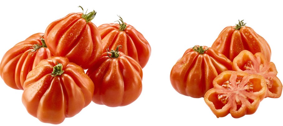 Tomaten Fleischtomaten "Ochsenherzen" - aus Baden-Württemberg ab sofort in Bio-Qualität