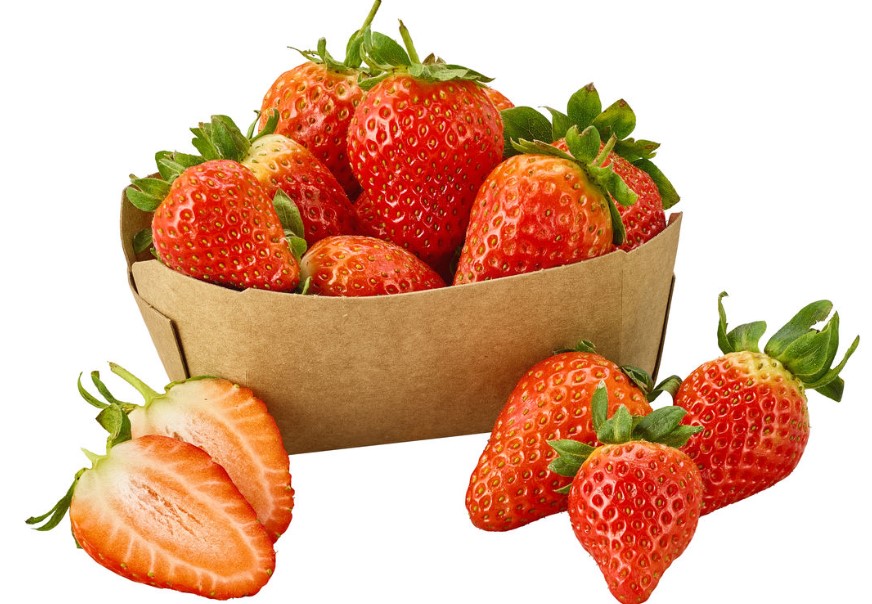 Erdbeeren 250g Schale aus Baden-Württemberg - ab sofort in Bio-Qualität