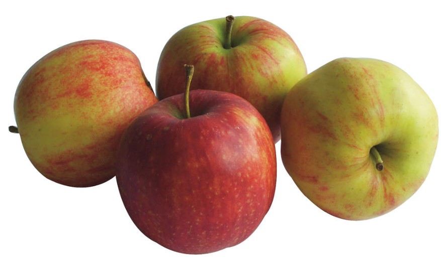 Apfel Jonagored aus Baden-Württemberg - ab sofort in Bio-Qualität