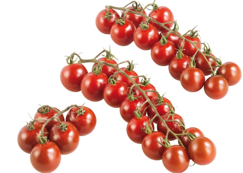 Tomaten Cherrystrauchtomaten - ab sofort in Bio-Qualität