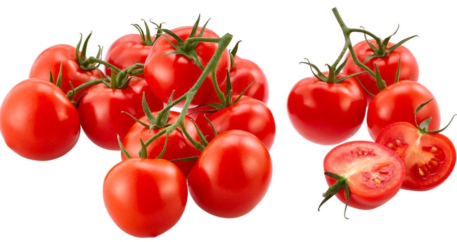 Tomate Strauchtomate aus Baden-Württemberg - ab sofort in Bio-Qualität