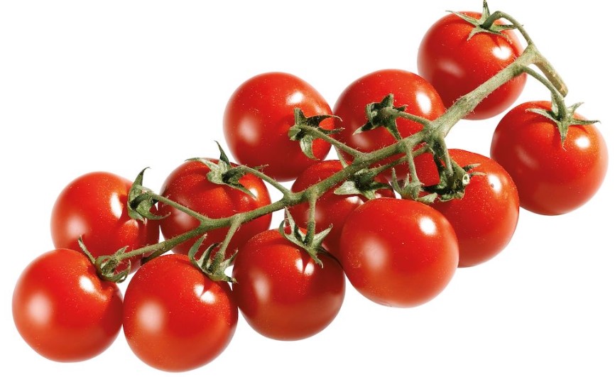 Tomaten Cherrytomaten aus Baden-Württemberg - ab sofort in Bio-Qualität