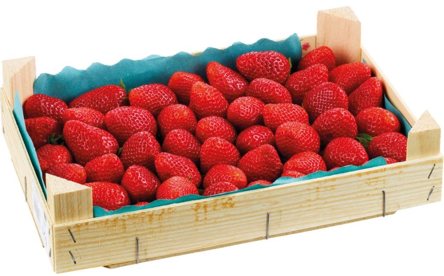 Erdbeeren 1Kg Kiste- ab sofort in Bio-Qualität