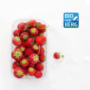 Bio Erdbeeren