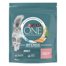 One Adult Cat Lachs