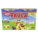 Paula Vanillepudding mit Schoko-Flecken