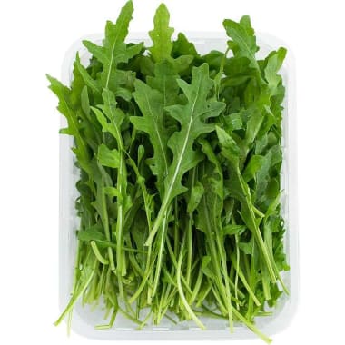 Rucola