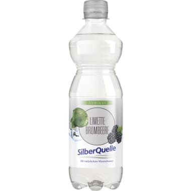 SilberQuelle Limette Brombeere 0,5 Liter