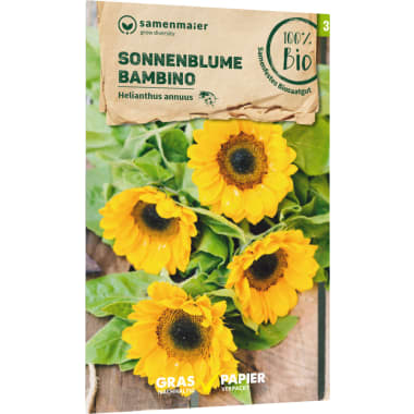 Samen Maier Bio Bio Samen Sonnenblume Bambino