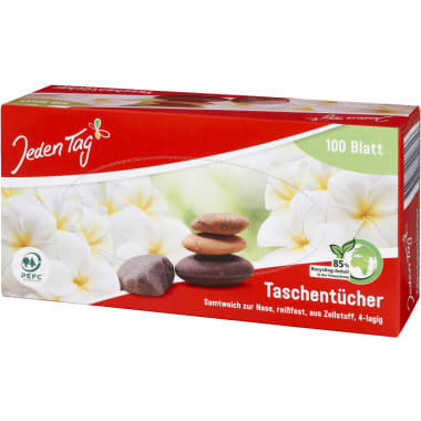 Jeden Tag Taschentücher Box 100er-Packung 4-lagig